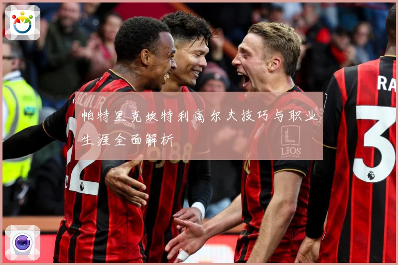 帕特里克坎特利高尔夫技巧与职业生涯全面解析