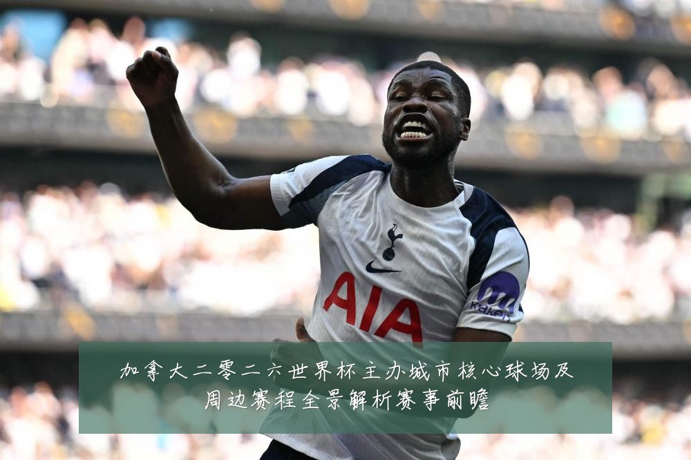 加拿大二零二六世界杯主办城市核心球场及周边赛程全景解析赛事前瞻